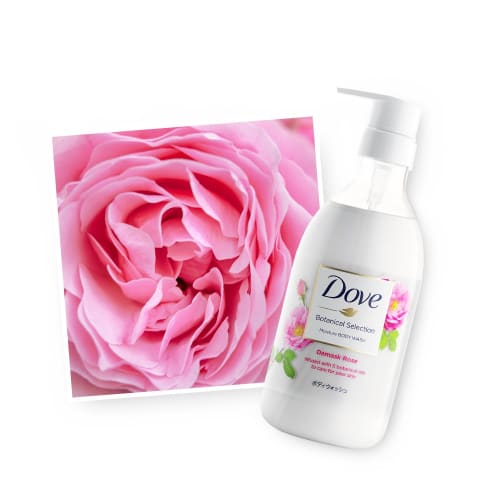 DOVE Body Wash Botanical Selection Damask Rose Refill 360g