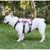 Dog Leash Small and Medium Dogs Pet Chest Strap Reflective Protection Shock Absorption Dog Chest Pet Leash Leash