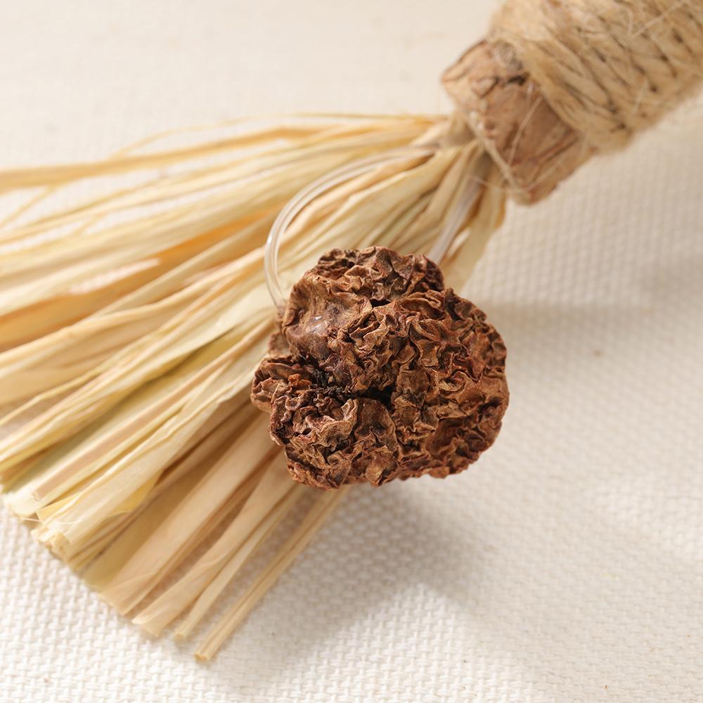 Natural Matatabi for Pets Cat Handles Sticks Cleaning Tooth-to-cats Toys for Cats Actinidia Silvervine Pet Toy for Cats Accessories