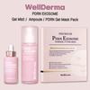 [WellDerma] PDRN Exosome Synergy Gel Mist 100ml/Ampoule 30ml/Gel Fitting Mask Pack (4Sheets)