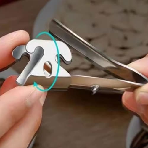 2-in-1 Sunflower Sheller, Stainless Steel, Pumpkin Opener, Multipurpose Pine Nut Peeler, Shell Cracker, Ideal for Home Kitchens, Great for Nuts & Seed