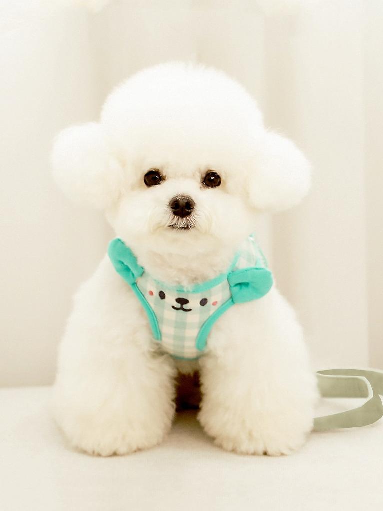 Tank Top Style Dog Leash Cute Checkered Dog Walking Leash Dogs Chain Harness Puppy Small Dog Teddy Bear Pet Supplies