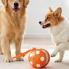 Pet Ball Toy with Tail Rope Rechargeable USB Design Interactive Rolling Cat Toy Boredom