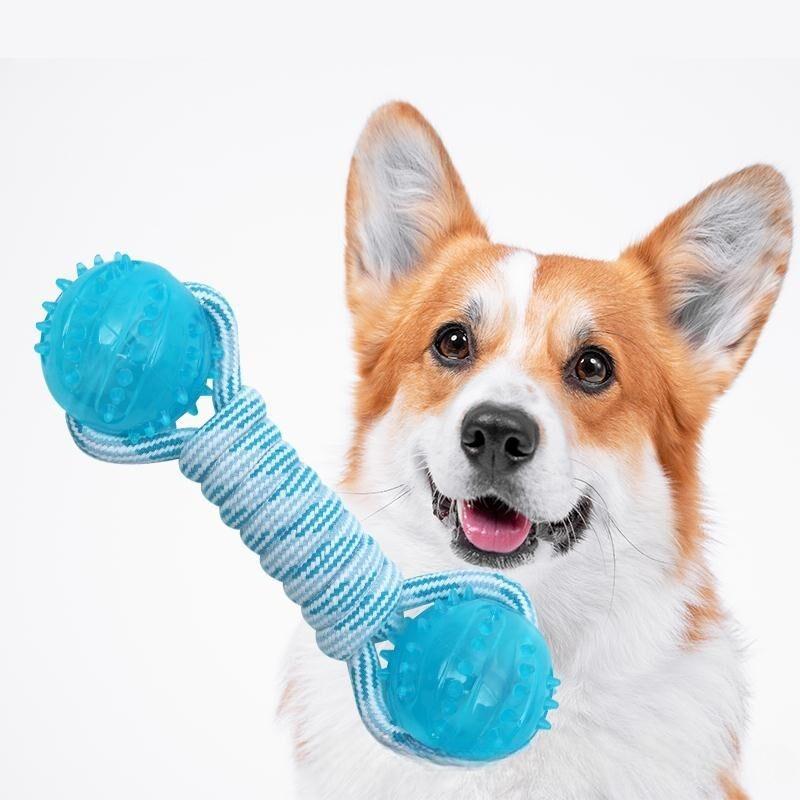 Hundespielzeug  Spielzeug Baumwollseil Bissfest Zähne  Stachelballspielzeug Interaktives Haustierzubehör Haustierzubehör Haustierprodukte