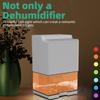 Efficient Room Dehumidifier Portable Dehumidifier Small Dehumidifier with Light ABS Texture for Living Environment