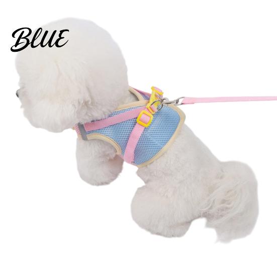 Adjustable Pet Walking Harness Small Dog and 59" Leash Set Breathable Mesh Puppy Vest with Durable Metal Clip 3D Flower Decor for Dogs Cats Outdoor