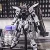 Auf Lager Freedom Unaktiviert Farbe Zgmf-X10a Hg 1/144 Mech Bausatz Modellbausatz Schreibtischdekoration Puppe Spielzeug Geschenke Sammlerstück