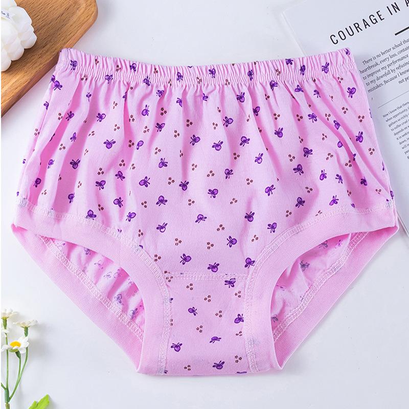 2 STÜCK Weiche Übergröße Slips Damen Unterhosen Baumwollslips Unterwäsche Atmungsaktiv Hohe Taille Bequeme Slips