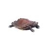 Realistic Artificial Tortoise Vinyl Turtle Model Lifelike Reptile Model  Fish Tank