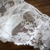 Low Waist Underpant Lace Sexy Perspective Briefs Bag Hip Breathable Ladies Panties