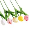 Hoge Kwaliteit PU Tulp Kunstbloemen voor Huis, Hotel, Bruiloft en Fotografie Props - Realistische en Elegante Decoratie