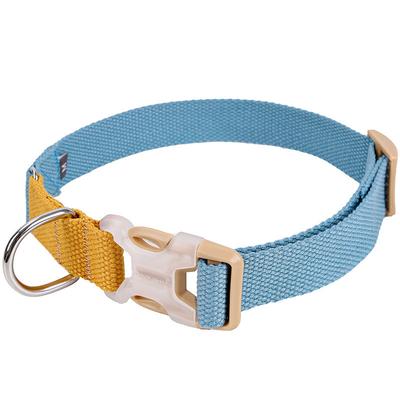 Cani – Collari e guinzagli per cani