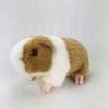 Voor dieren – Knaagdieren