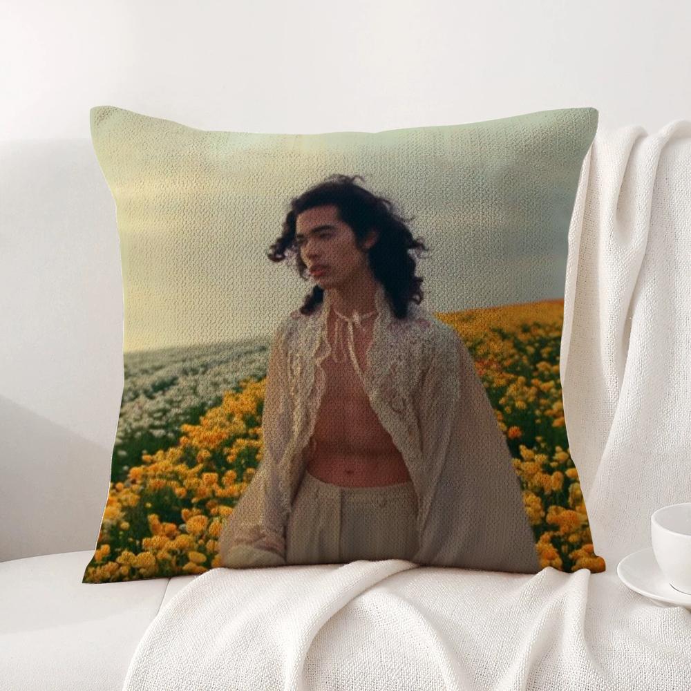 Conan Gray Holidays Pillow Case Natural Linen Organic Fabric Double-Sided Printing Breathable Perfect Gift For Decor