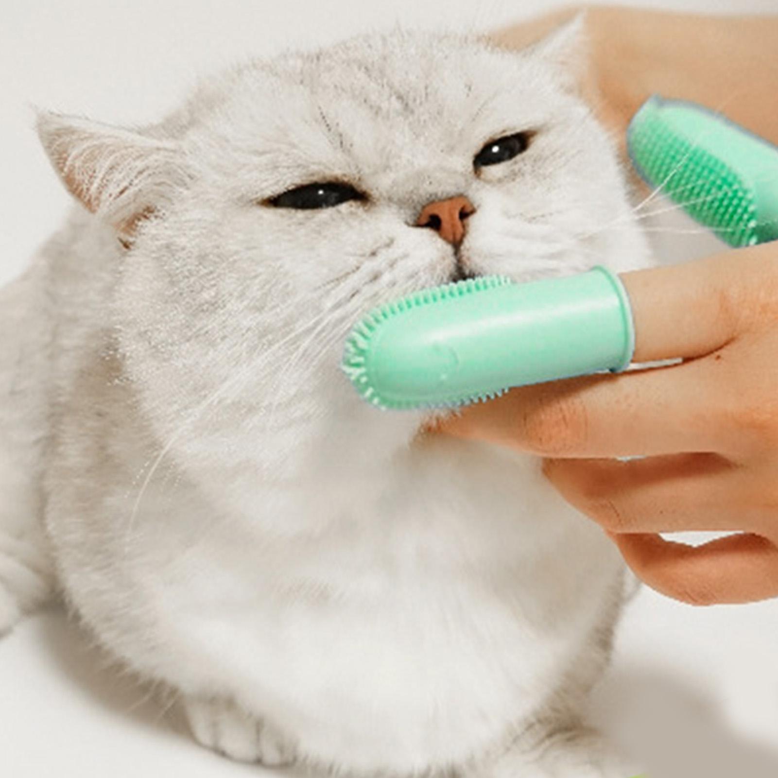 Pet Cats Finger Toothbrush Removes Plaque Silicone Dental Care Brush for Dogs & Cats Dental Health Cyan циан