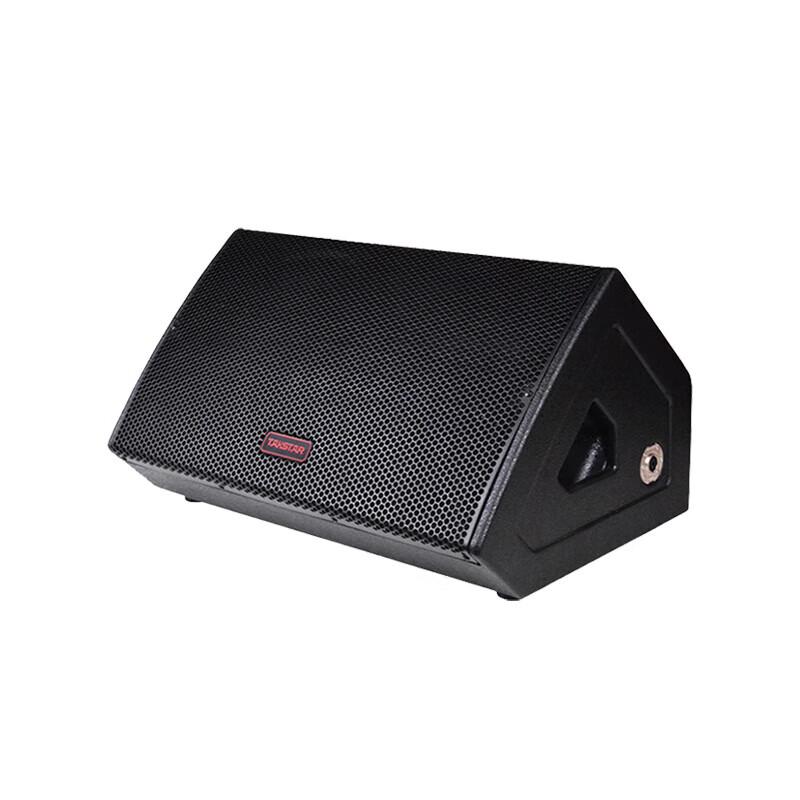 TAKSTAR ELV-121M 12-inch Return Monitor Speaker