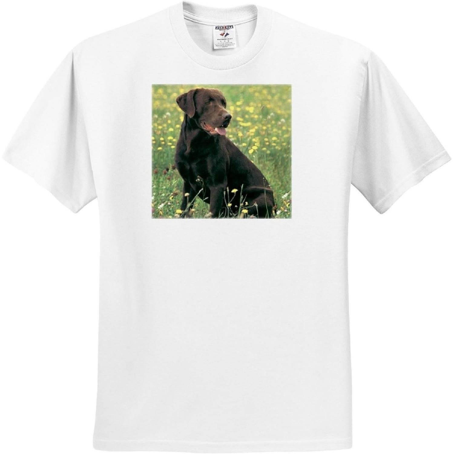3dRose, Chocolate Labrador Retriever, T-Shirt(1) XXXXXL белый