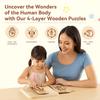 Organ Model Montessori Jigsaw Puzzle Human Structure Human Structure Toy  Science Learning