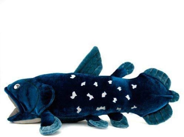 Calorata Coelacanth Plush Toy Fish Soft and Realistic Plush Fish Toy Doll Mascot Birthday Gift Present Christmas Present (Medium/Ancient Series)