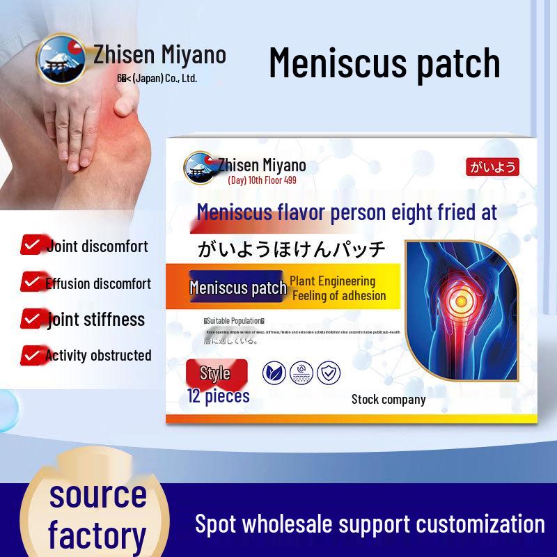 Zhisenmei Japan Meniscus Knee Pain Relief Patch