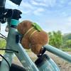 Juguetes de Círculo de Aplausos de Capibara Peluche de Capibara Anillo de Mano Pulsera Animal de Peluche Relleno Kawaii Cortinas Decoración de Fiesta de Bicicleta Regalo para Niños