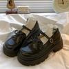 With skirt retro platform small leather shoes women's autumn new brown Mary Jane single shoes