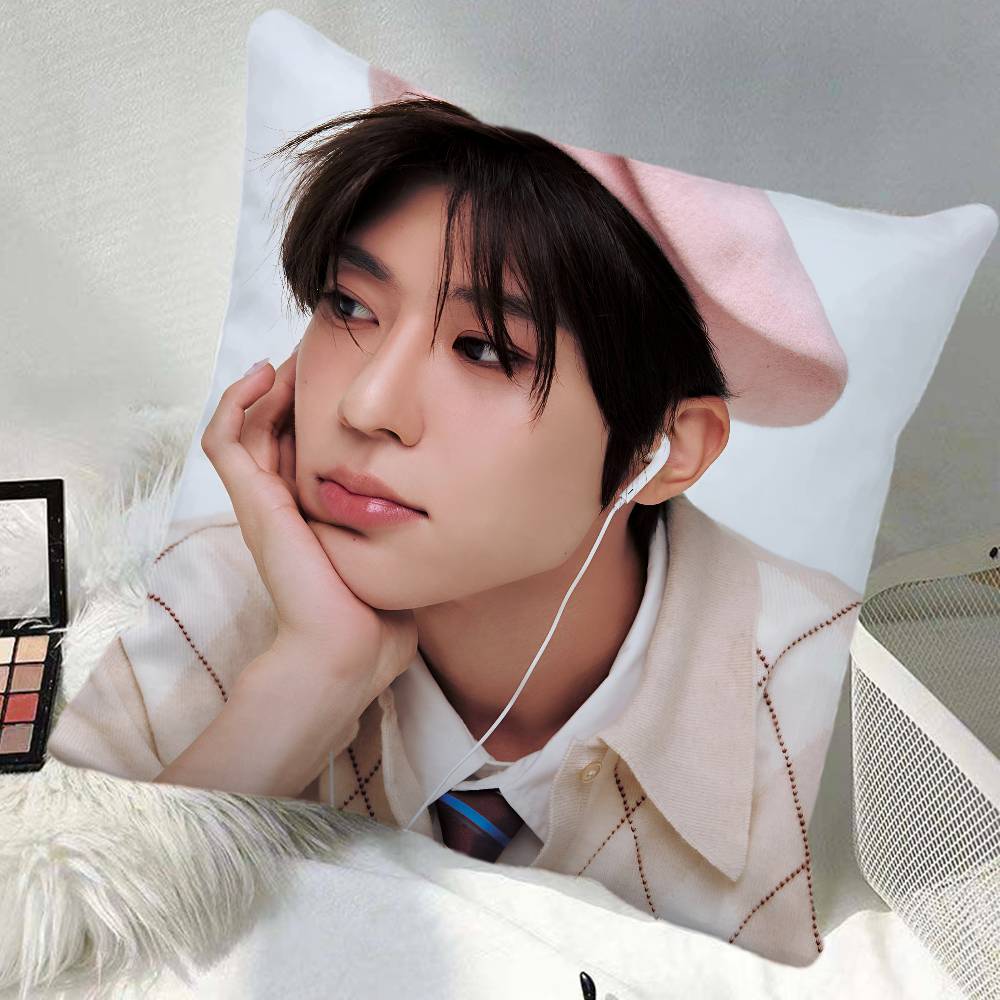 Sion Pillow Case Square Pillow Bedroom Sofa Leisure Comfort Cushion Car Home Decoration