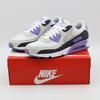 DM0029-114 Air Max 90 Dusty Amethyst Photon Dust Light Smoke Grey (Men's)
