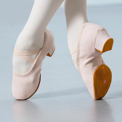 Ballet Dance Shoes Women Teacher Stage Training Shoes Soft Sole Slippers Girls Jazz Dancing Shoes