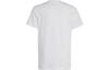Adidas Essential T Shirt Cotton Tee White Kids' IC0605