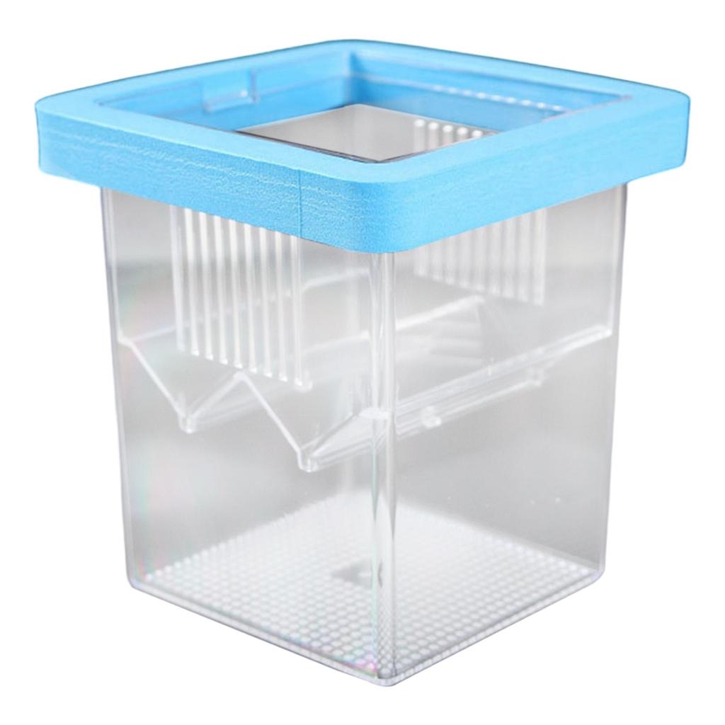 Breeder Box for Fish Tank Mini Fish Fry Isolation Case Incubation Box Hatching Box for Shrimp