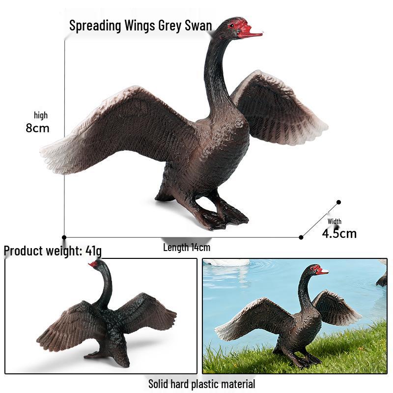 Realistic Warty-Nosed Swan Heart Model: Children's Cognitive Toy & Zoo Decoration