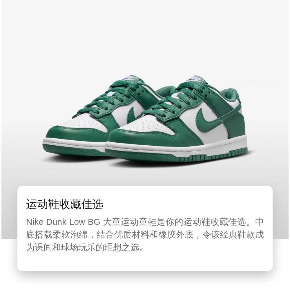 Nike Dunk Low Bicoastal GS HF4798-100