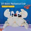 DIY Bionic Crab Robot Kit for Kids - Hands-On Science & Physics Exploration