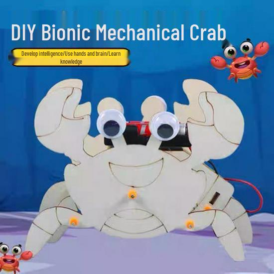 DIY Bionic Crab Robot Kit for Kids - Hands-On Science & Physics Exploration