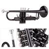 Brass Plated Black Bb Trumpet Set for Beginners and Students with Hard Polishing Cloth Trumpet, Case, Strap, Mouthpiece, Gloves,
