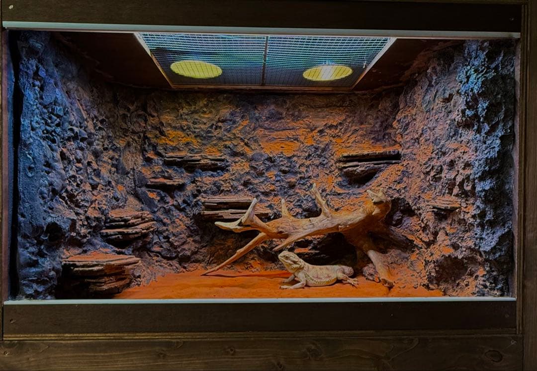 

[USED] Layout cage for reptiles and small animals 90 60 45 120