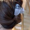 Korean Color Block Acetate Hair Claw Clip for Women - Super Fairy Style Accessories