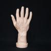 2 Pezzi Mani di Manichino Realistiche Accessorio Mano Maschile Manichino per Accessori Costumi e Progetti Creativi Lunga Durata