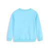 2026 Boys' Embroidered Long Sleeve Sweatshirt - Autumn and Spring Collection