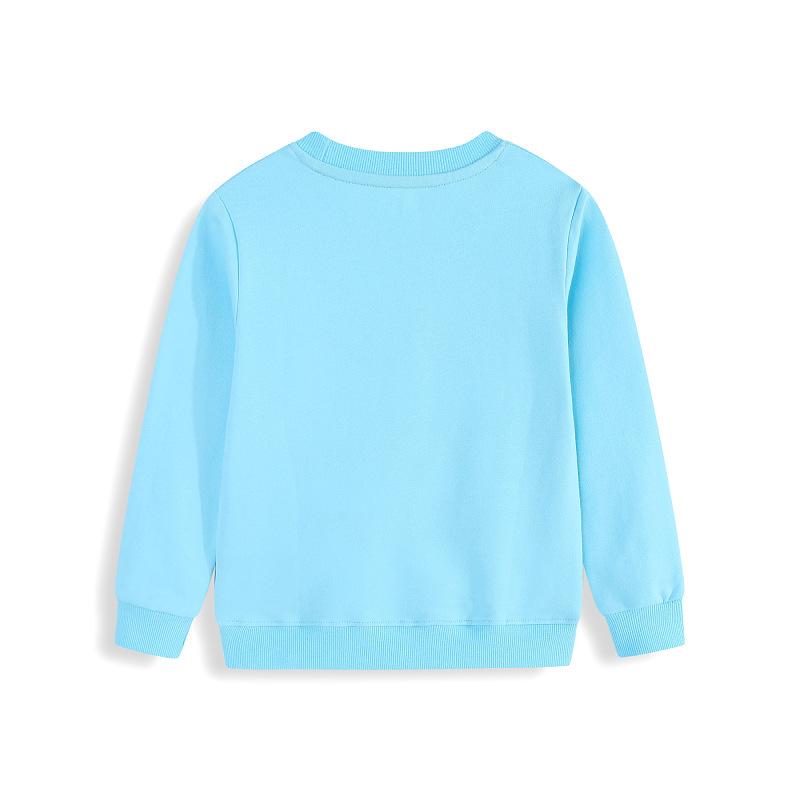 2026 Boys' Embroidered Long Sleeve Sweatshirt - Autumn and Spring Collection