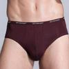 4 Pieces Big Size Sexy Briefs Mens Underwear Underpants Male Large Knickers Undershorts Modal Undies L XL 2XL 3XL 4XL 5XL