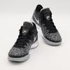 DR8788-005 Nike LeBron NXXT Gen Black Wolf Grey White Light Bone (Men's)
