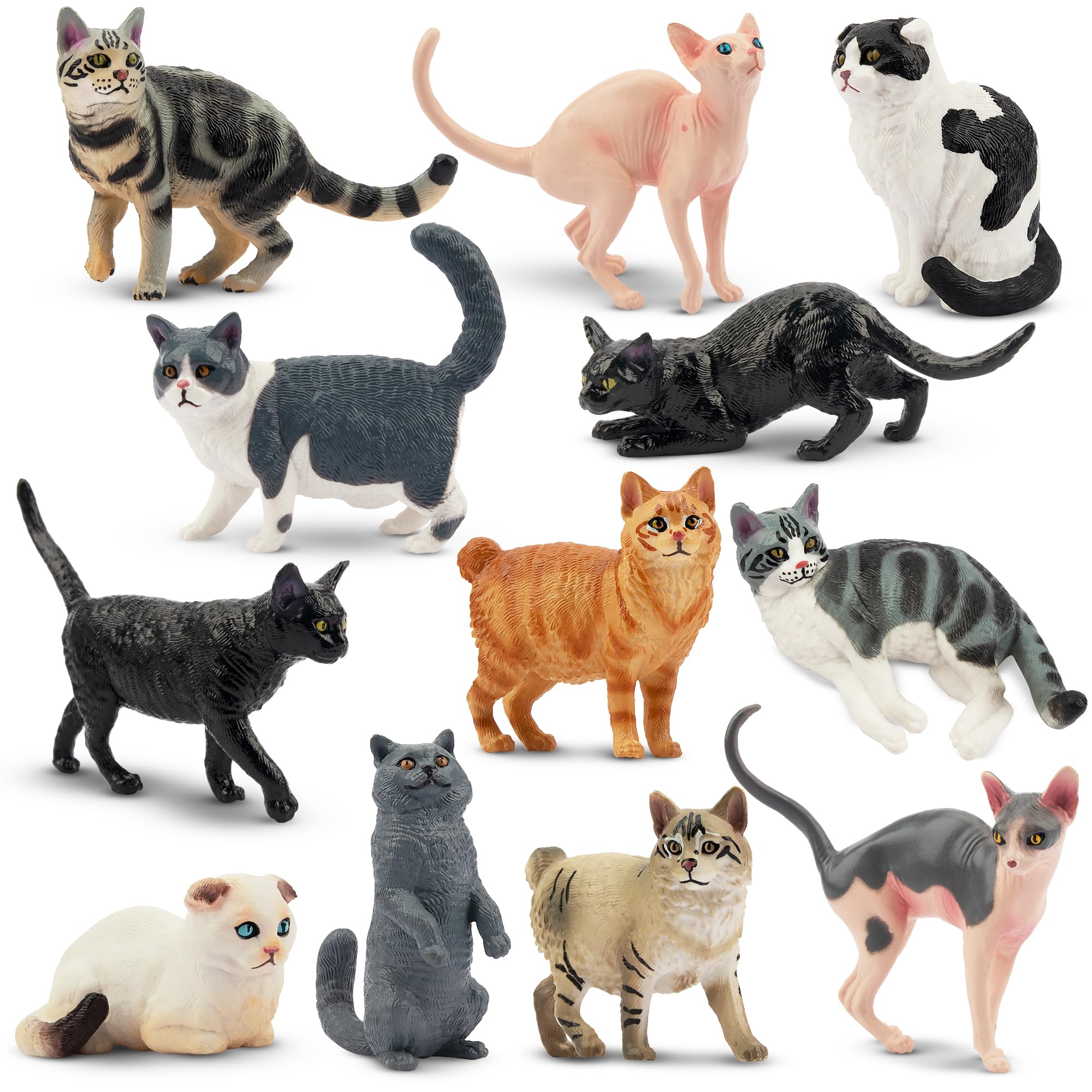 EYSCOTA CAT Animal Figure Plastic Animal Set for Kids Set, 12-Piece