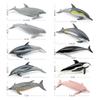 Simulation Of Marine Animals, Dolphin Models, Short-Nosed Dolphins, Right-Headed Dolphins, Long-Billed Dolphins, Static Ornaments, Toys