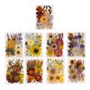 Natural Pressed Dried Flower For Epoxy Resin Dry Flowers and Leaves Set for Soap Candle Jewelry Making Scrapbooking