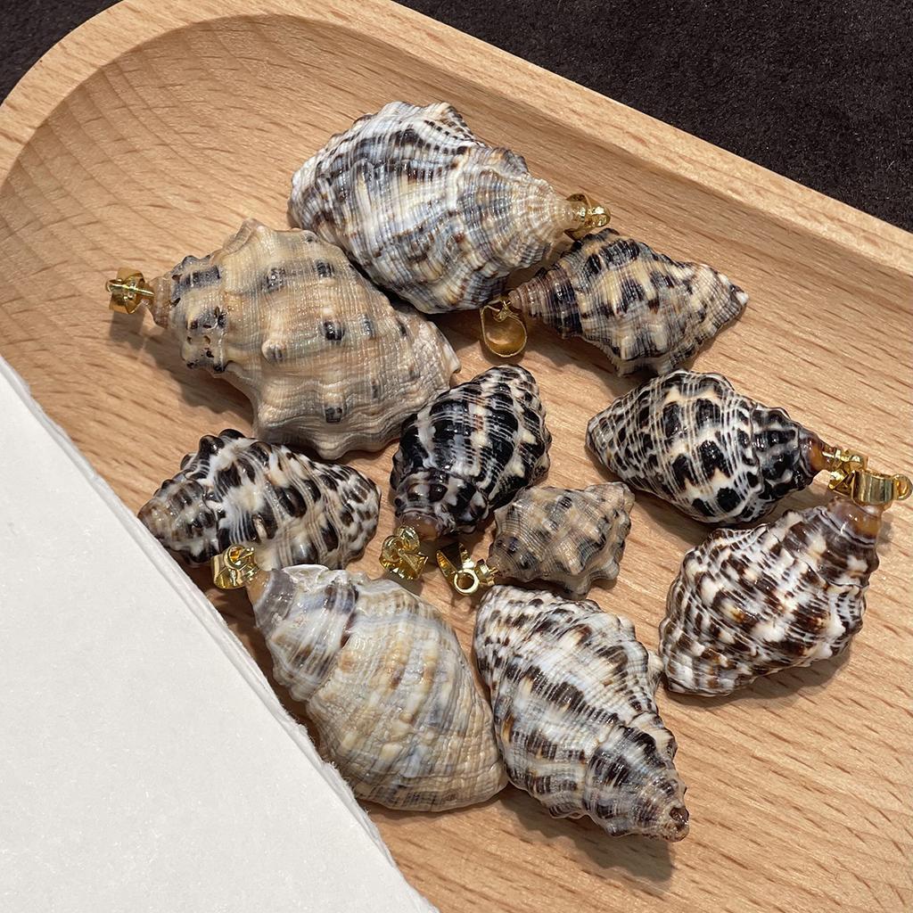10Pcs Natural Black Rib Conch Shell Charms 12×20~22×35mm Seashell Pendants With Gold Bail Beach Jewelry DIY