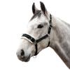 Hy Lunge Horse Cavesson