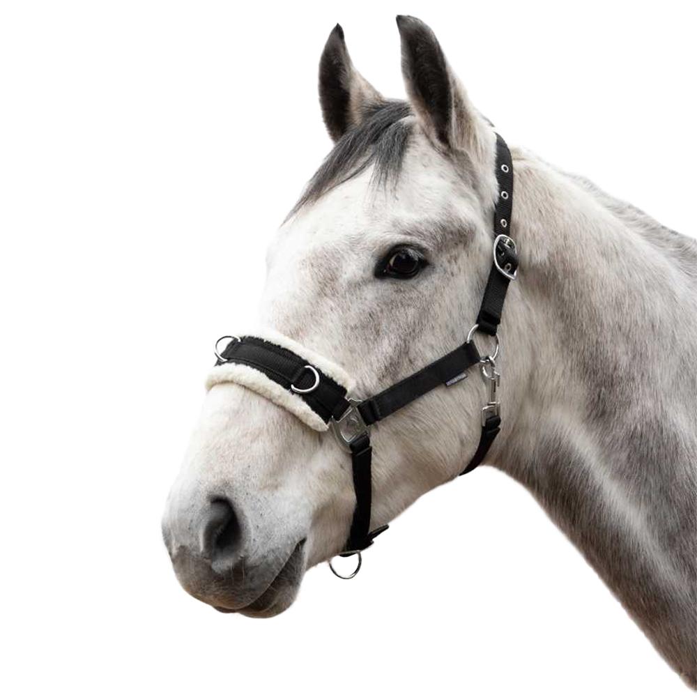 Hy Lunge Horse Cavesson