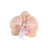 Women Girls Summer Beach Orchid Flower Hair Clip Hawaiian Boho Butterfly Orchid Hair Barrettes Hair Accessories